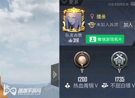 和平精英辅助软件的发展与影响分析